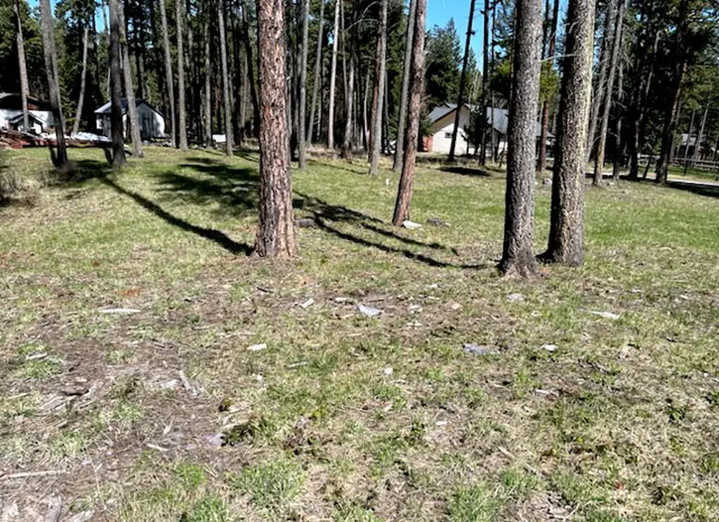 13962 Pine Street Bigfork MT 59911