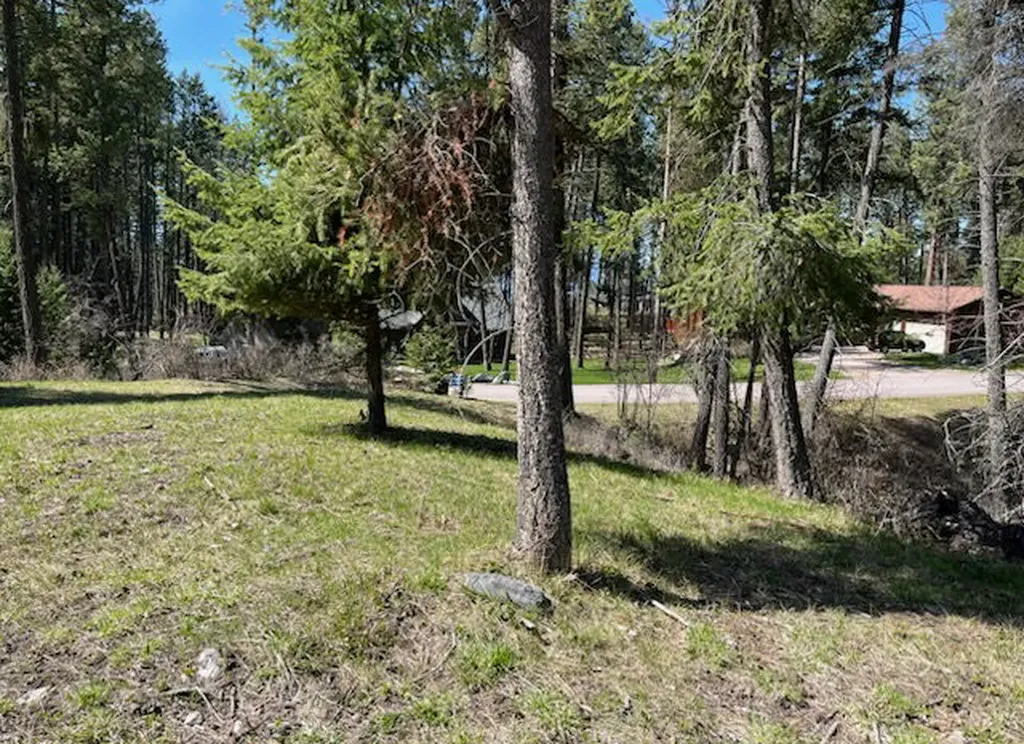 13962 Pine Street Bigfork MT 59911