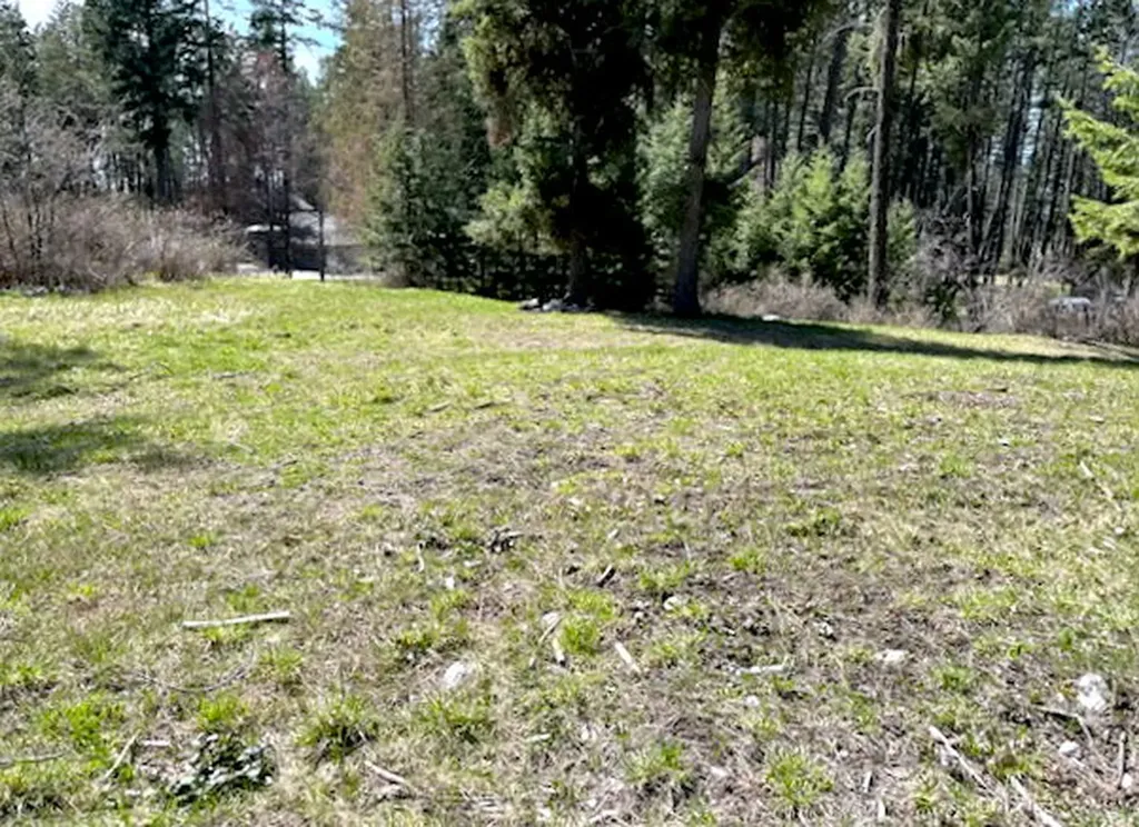 13962 Pine Street Bigfork MT 59911