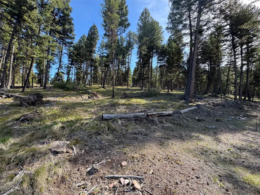 349 Seclusion Point Seeley Lake MT 59868