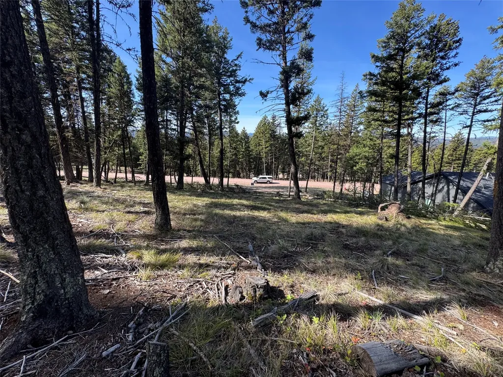 349 Seclusion Point Seeley Lake MT 59868