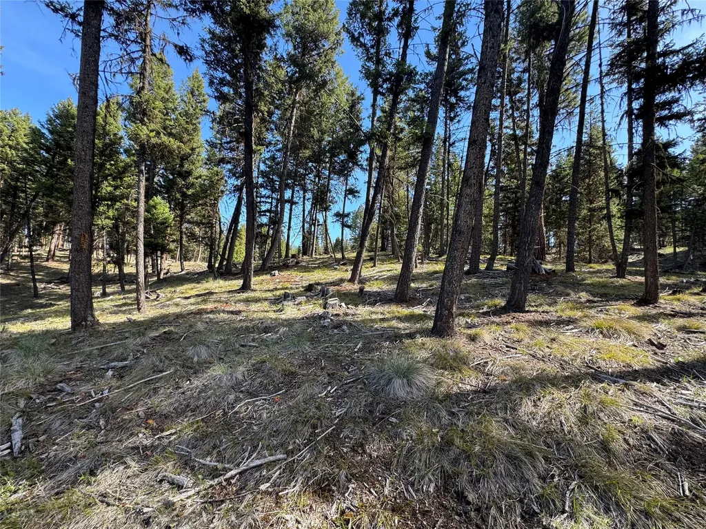 349 Seclusion Point Seeley Lake MT 59868