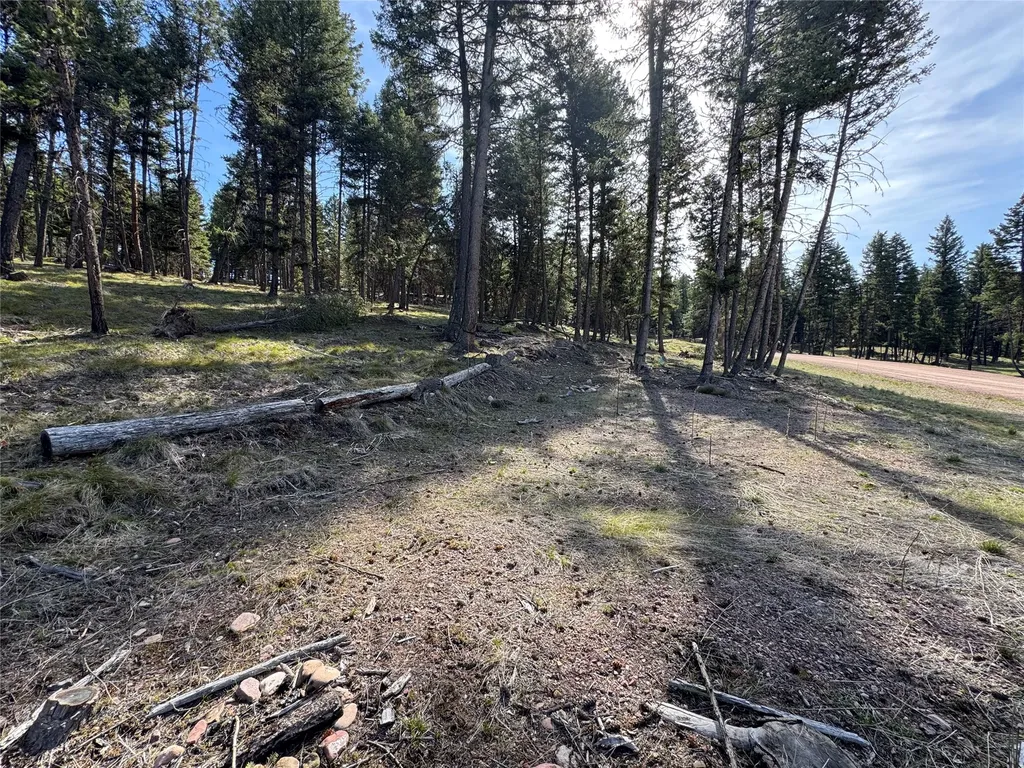 349 Seclusion Point Seeley Lake MT 59868