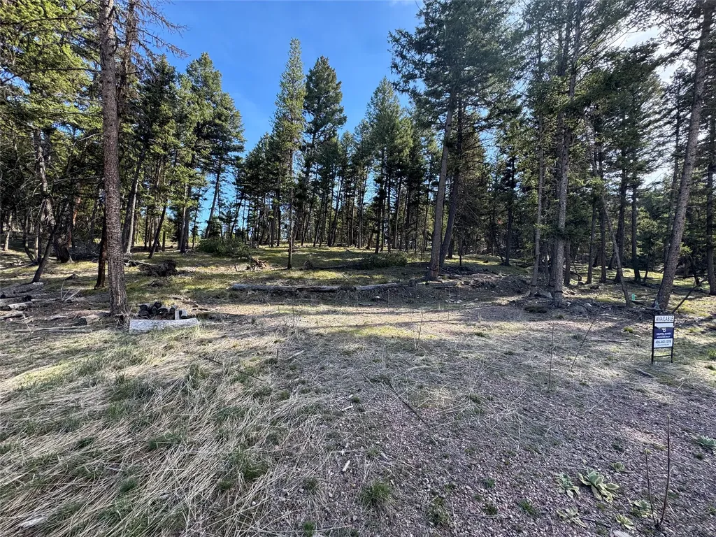 349 Seclusion Point Seeley Lake MT 59868