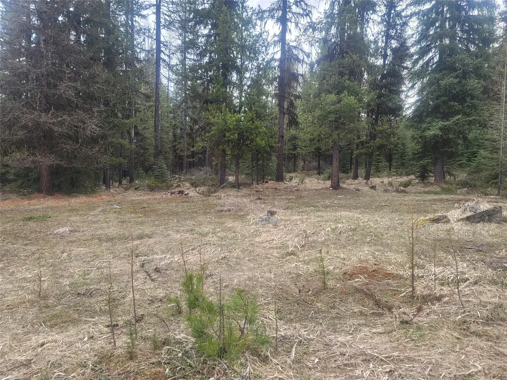 00 Northwood Road Troy MT 59935