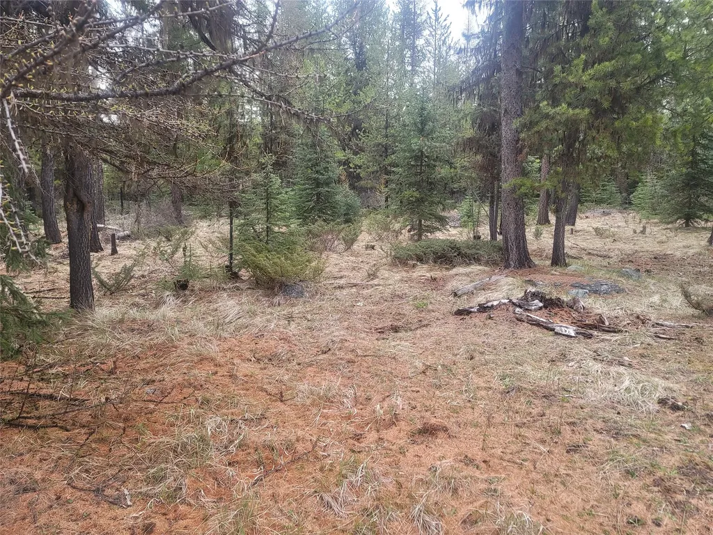00 Northwood Road Troy MT 59935