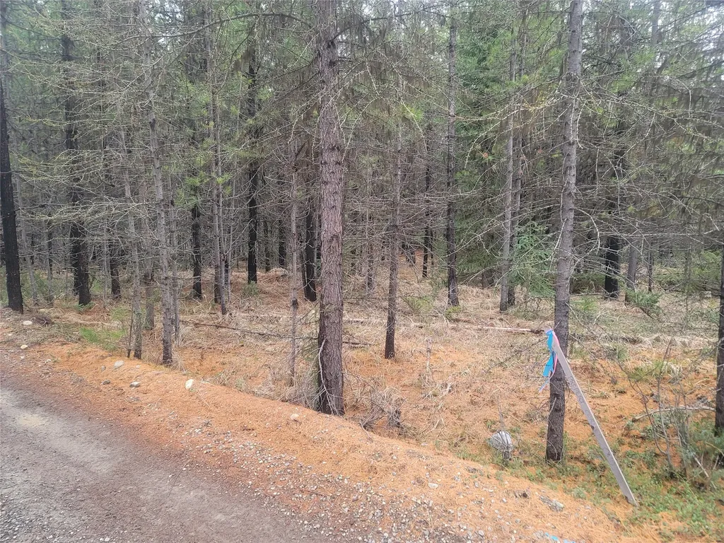 00 Northwood Road Troy MT 59935