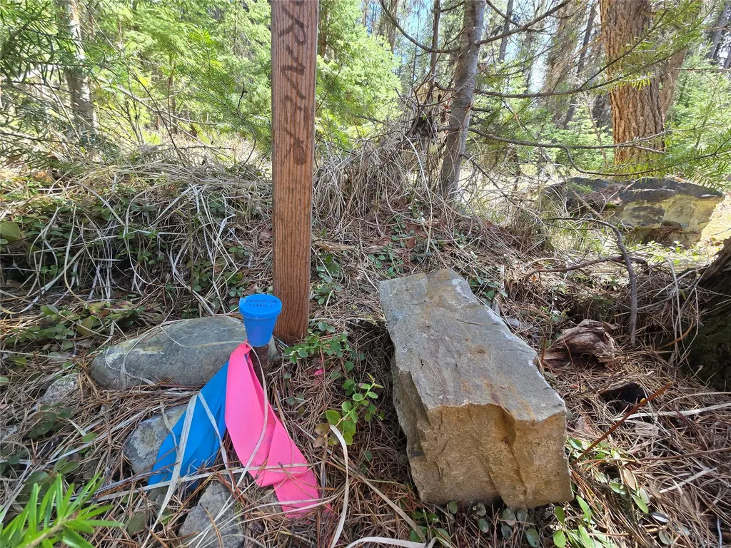 00 Northwood Road Troy MT 59935