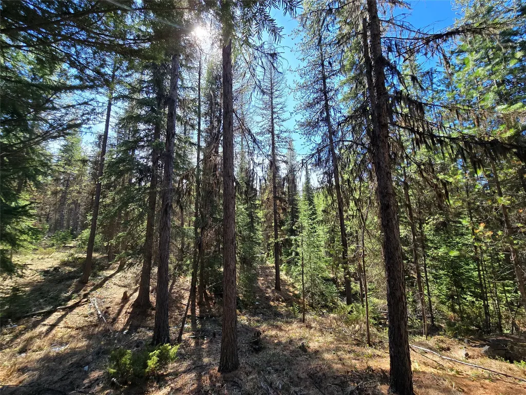 00 Northwood Road Troy MT 59935