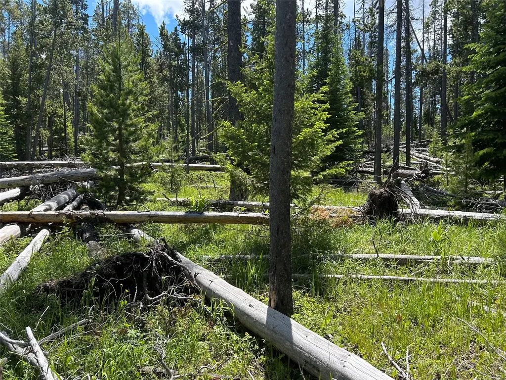 Nhn Spencer White Sulphur Springs MT 59645