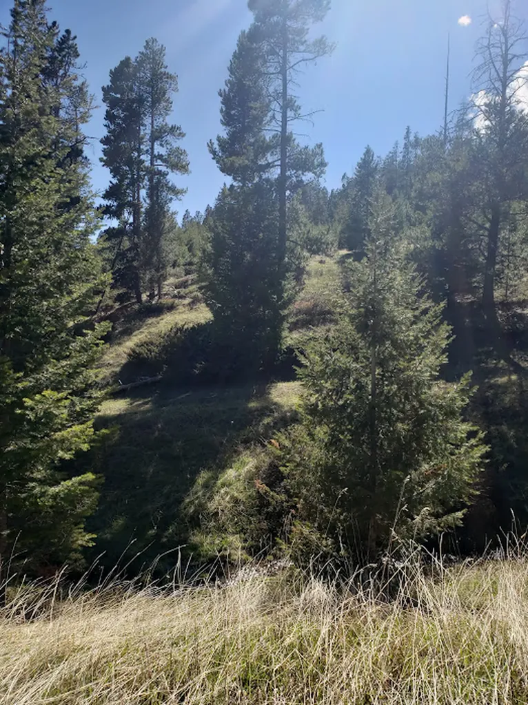 Nhn Spencer White Sulphur Springs MT 59645