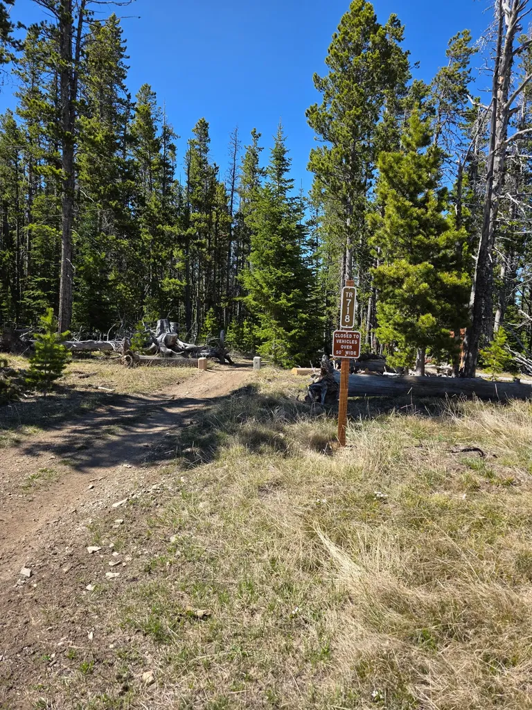 Nhn Spencer White Sulphur Springs MT 59645