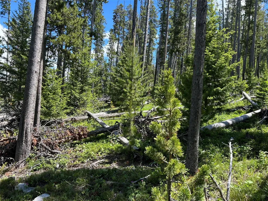 Nhn Heitman White Sulphur Springs MT 59645