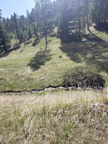 NHN Heitman White Sulphur Springs MT 59645