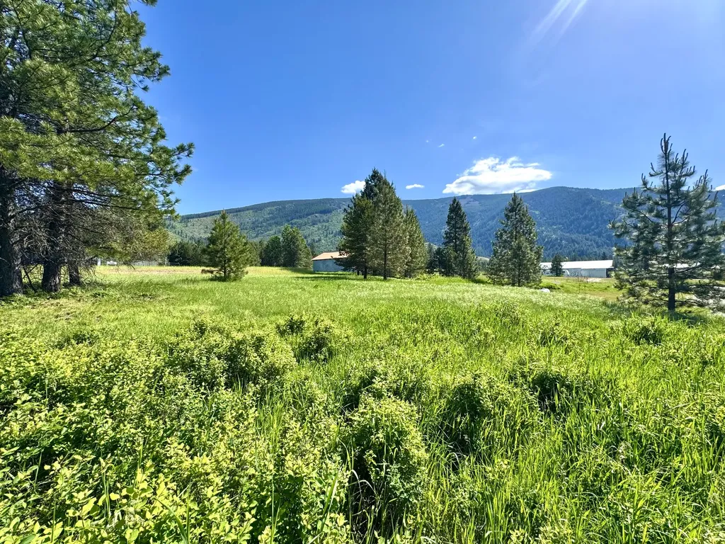 10 Timber Lane Trout Creek MT 59874