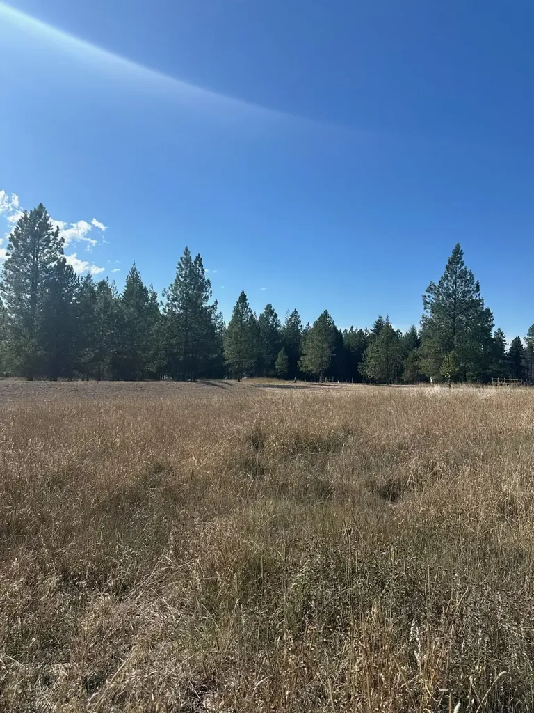 10 Timber Lane Trout Creek MT 59874