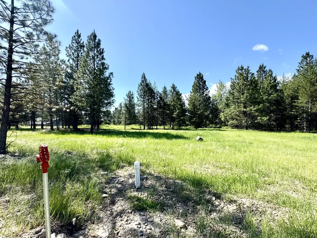 10 Timber Lane Trout Creek MT 59874