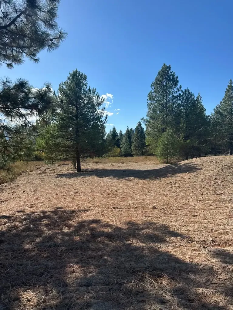 10 Timber Lane Trout Creek MT 59874