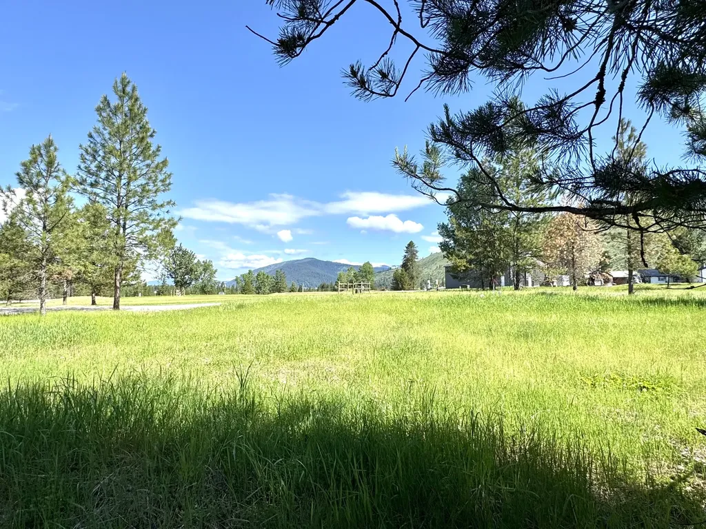 10 Timber Lane Trout Creek MT 59874