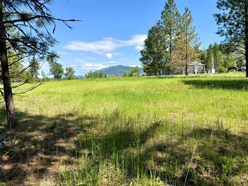 10 Timber Lane Trout Creek MT 59874