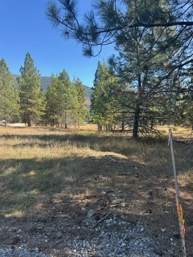 10 Timber Lane Trout Creek MT 59874