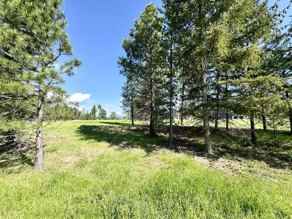 10 Timber Lane Trout Creek MT 59874