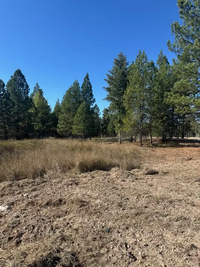 10 Timber Lane Trout Creek MT 59874