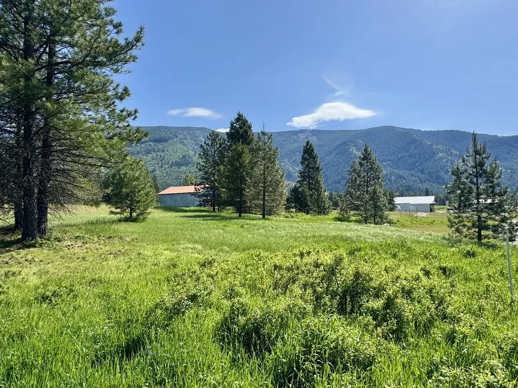 10 Timber Lane Trout Creek MT 59874