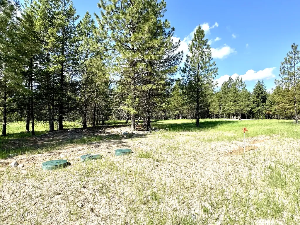 10 Timber Lane Trout Creek MT 59874