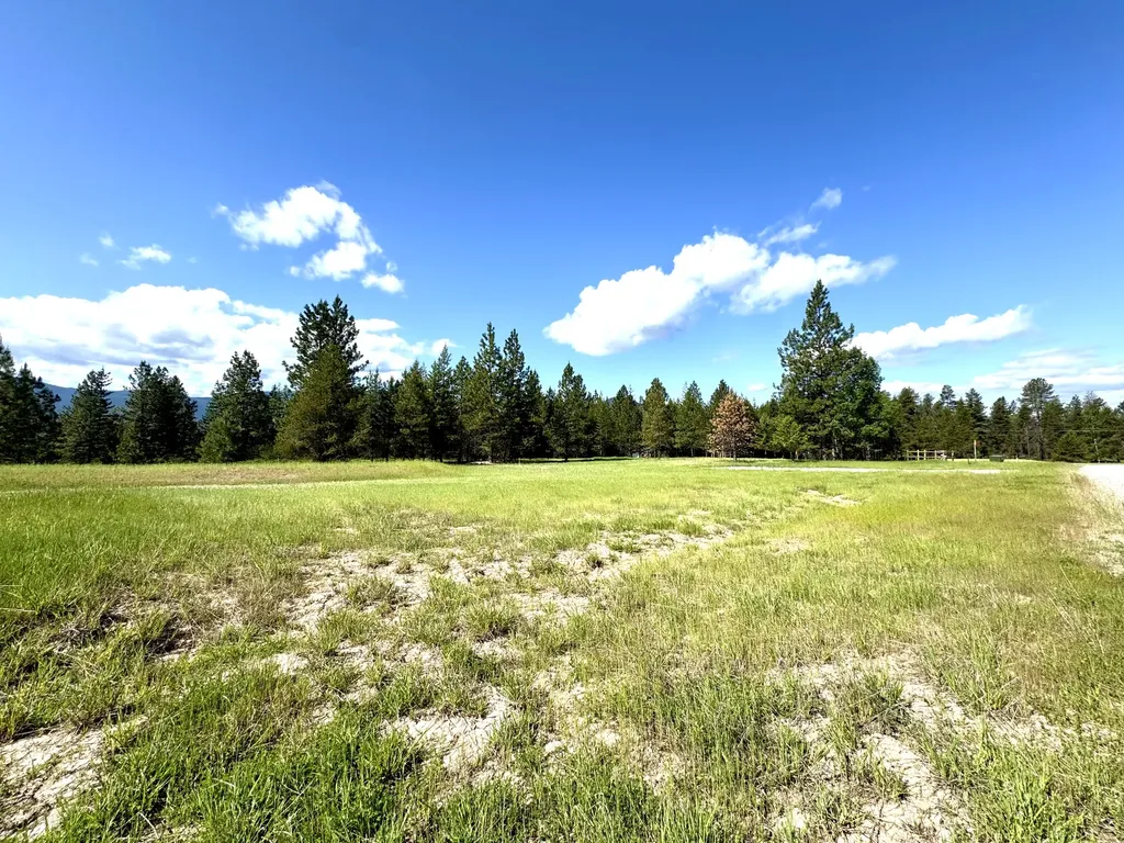 10 Timber Lane Trout Creek MT 59874