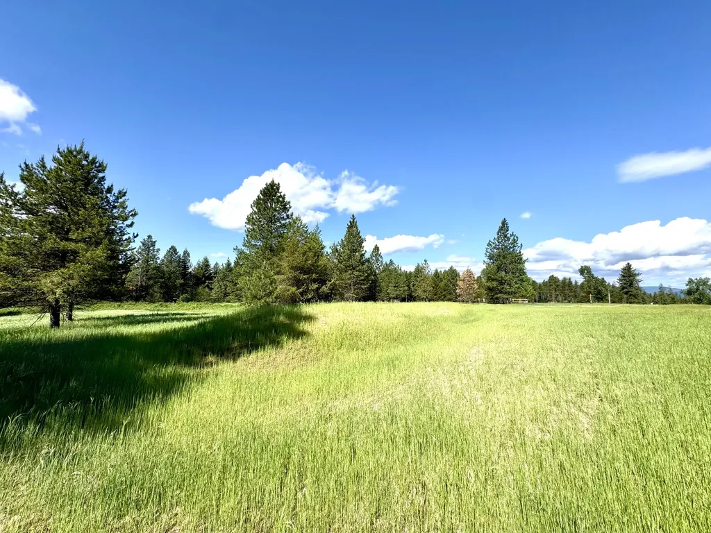 10 Timber Lane Trout Creek MT 59874