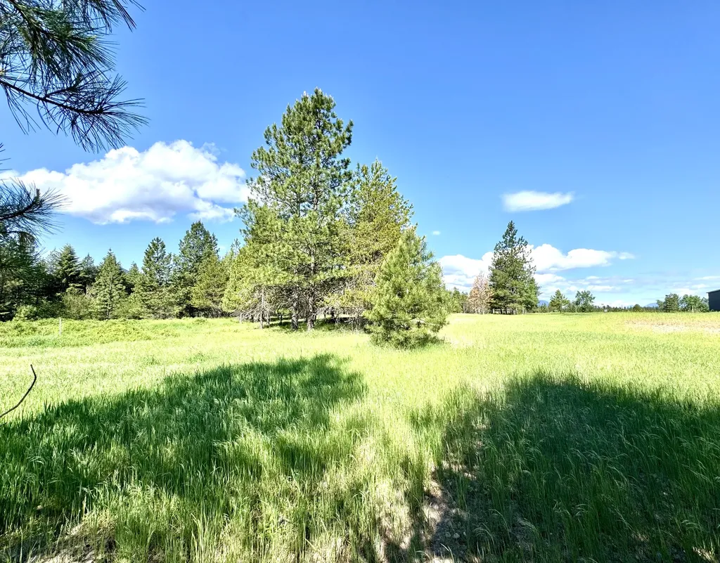 10 Timber Lane Trout Creek MT 59874