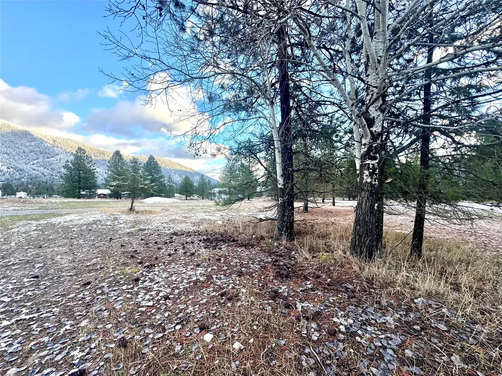 10 Timber Lane Trout Creek MT 59874