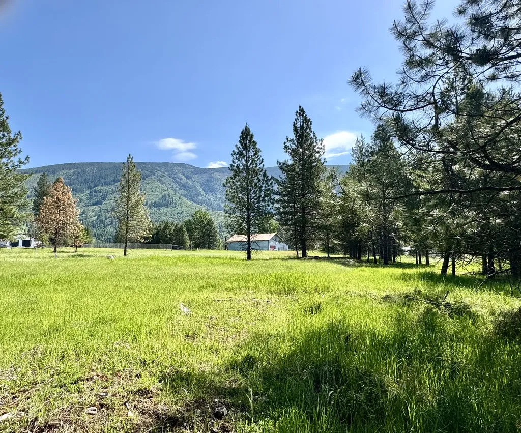 10 Timber Lane Trout Creek MT 59874