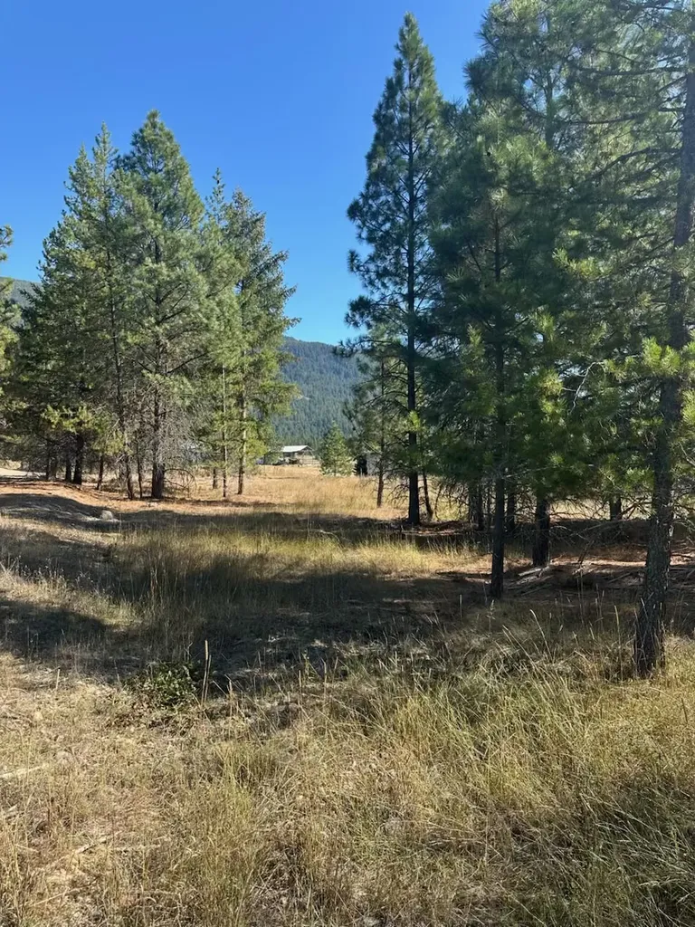 10 Timber Lane Trout Creek MT 59874