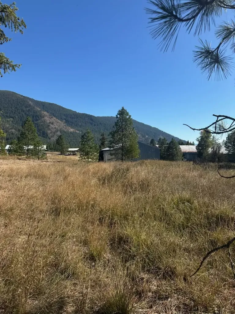 10 Timber Lane Trout Creek MT 59874