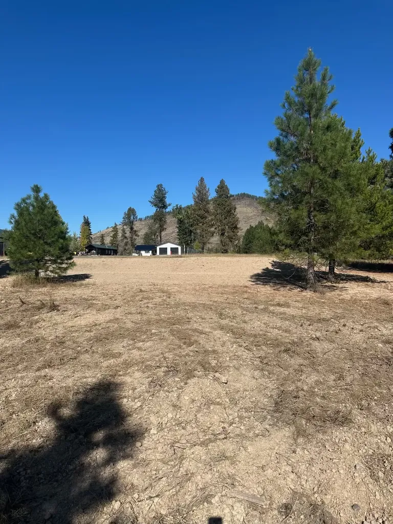 10 Timber Lane Trout Creek MT 59874