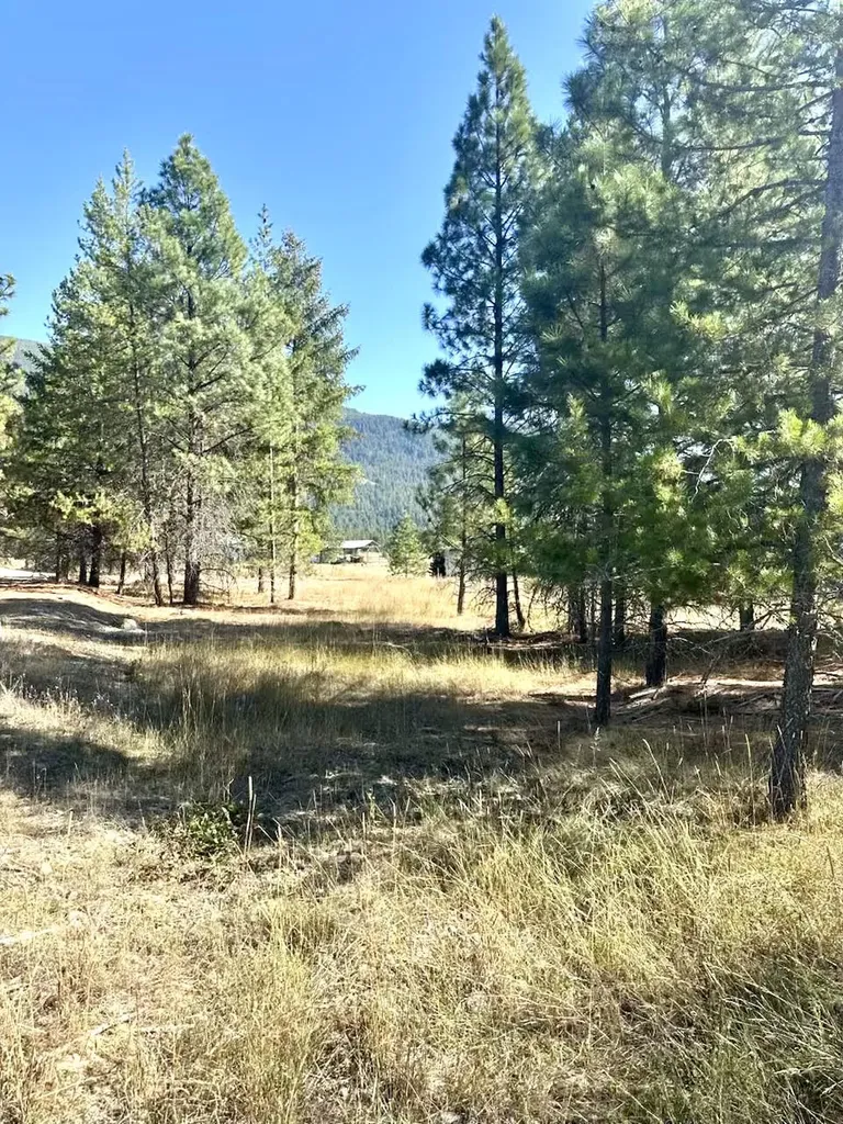 10 Timber Lane Trout Creek MT 59874