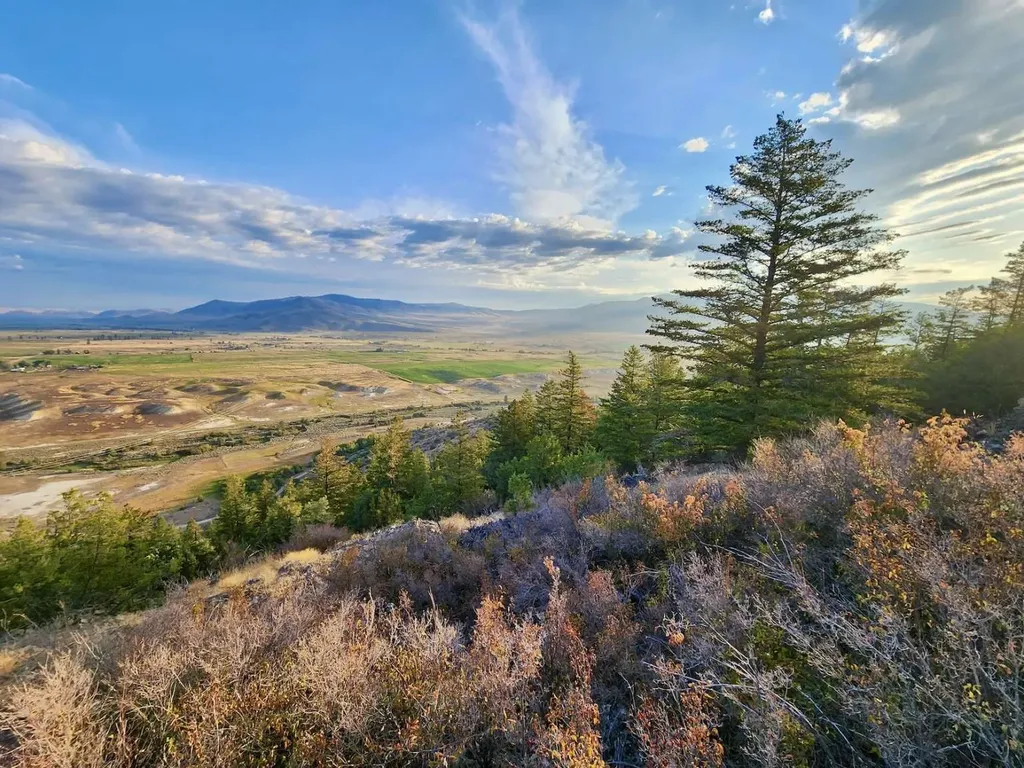 59000 Little Bitterroot Road Hot Springs MT 59845