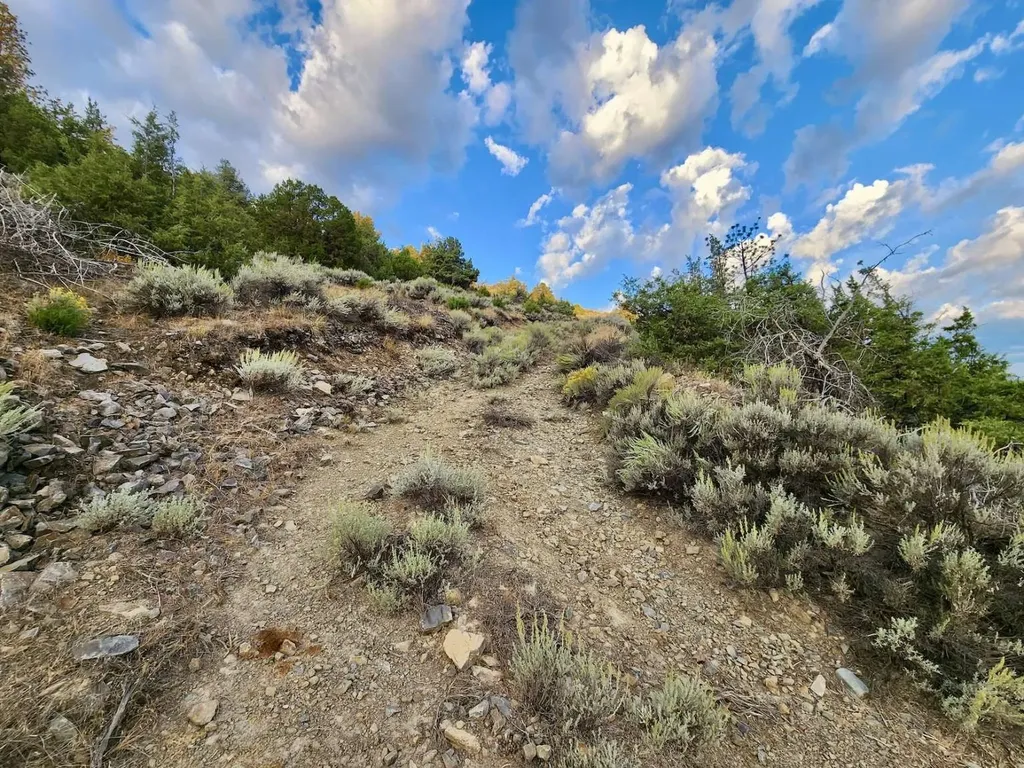 59000 Little Bitterroot Road Hot Springs MT 59845