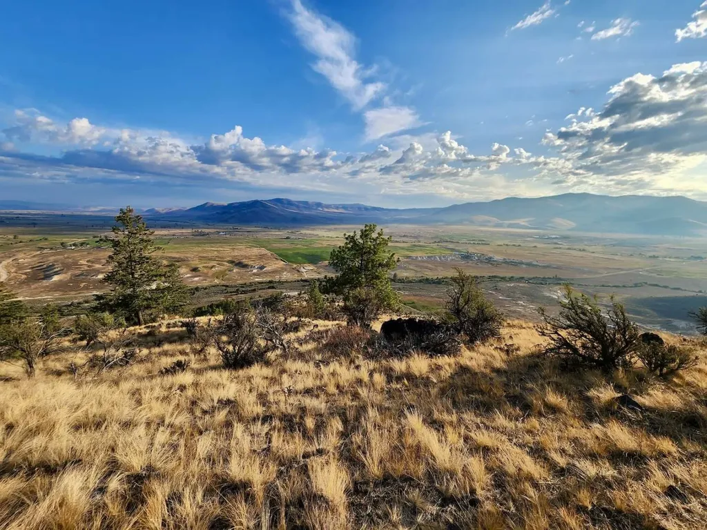 59000 Little Bitterroot Road Hot Springs MT 59845