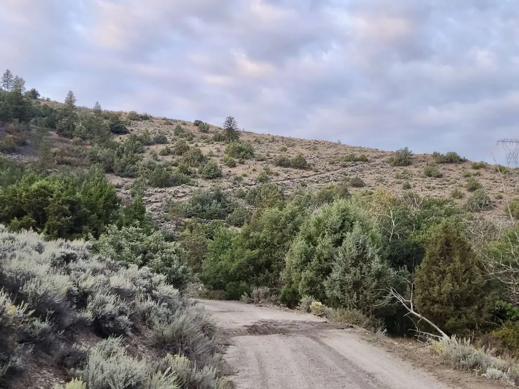 59000 Little Bitterroot Road Hot Springs MT 59845