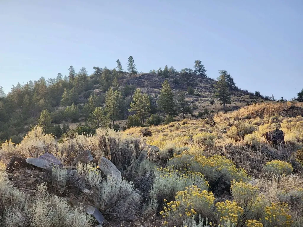 59000 Little Bitterroot Road Hot Springs MT 59845