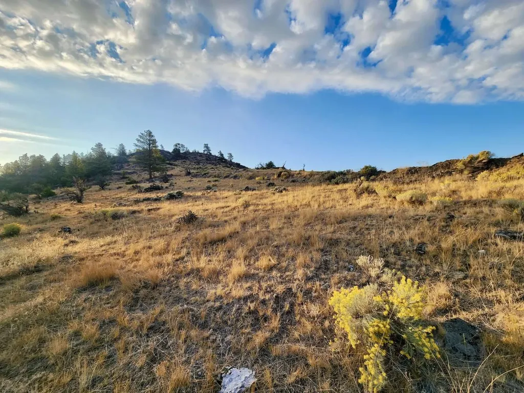 59000 Little Bitterroot Road Hot Springs MT 59845