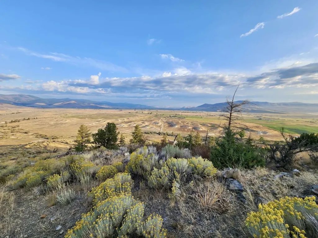 59000 Little Bitterroot Road Hot Springs MT 59845