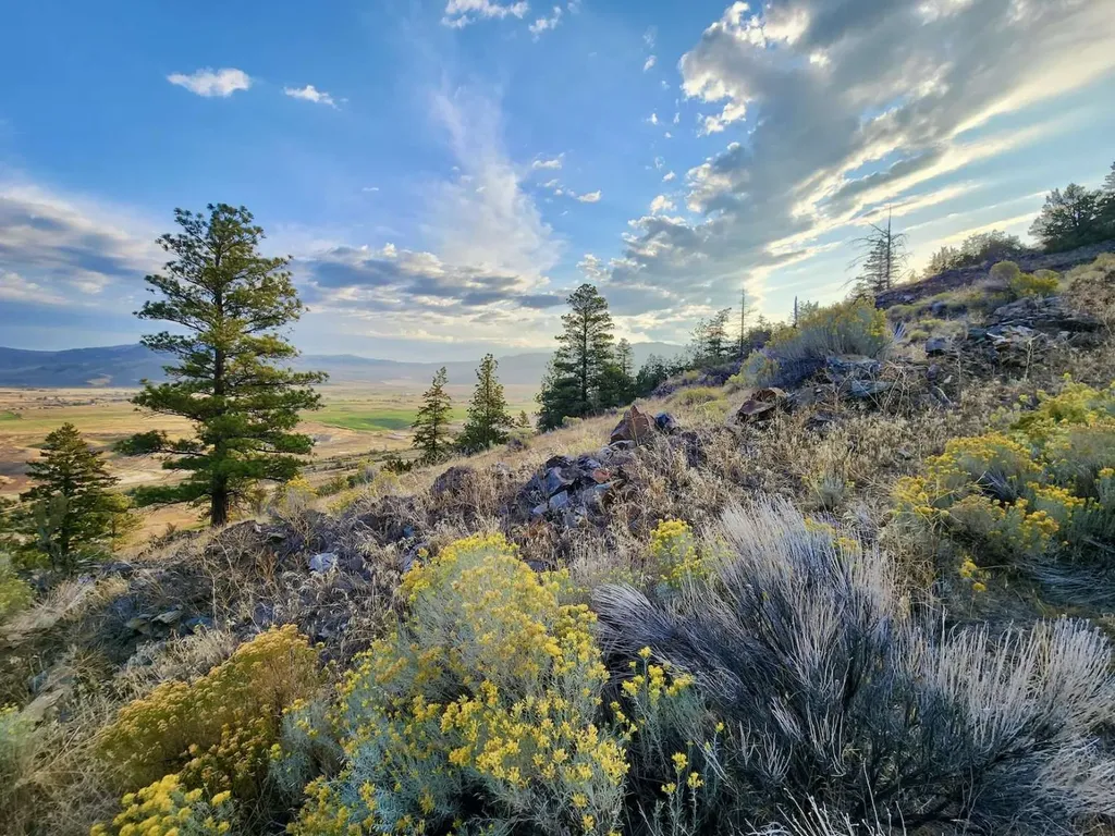 59000 Little Bitterroot Road Hot Springs MT 59845