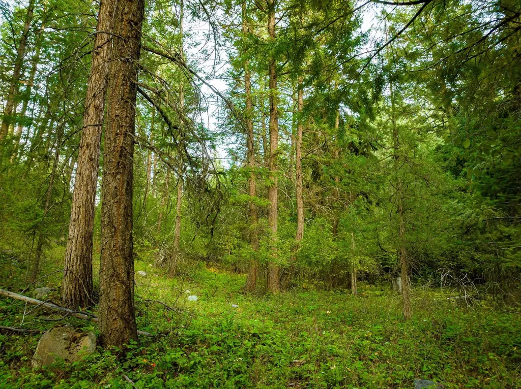 Nhn Black Lake Road Rexford MT 59930