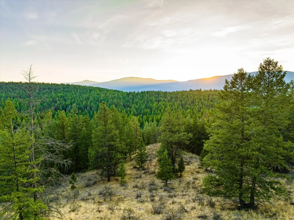 Nhn Black Lake Road Rexford MT 59930