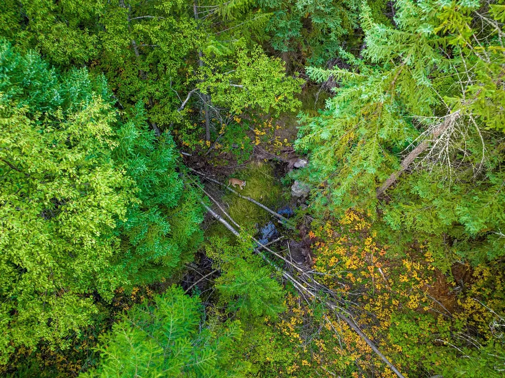Nhn Black Lake Road Rexford MT 59930