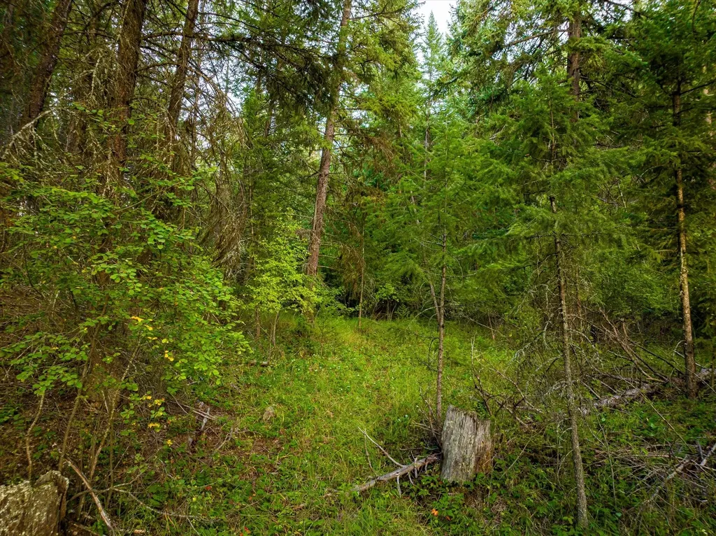 Nhn Black Lake Road Rexford MT 59930